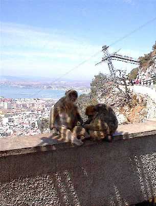Ape's Den at Gibraltar