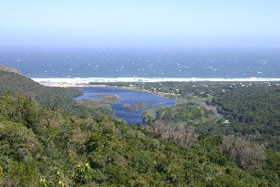 Nature's Reserve