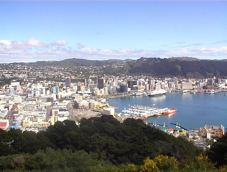 Wellington gezien vanaf Victoria Lookout