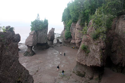 Hopewell Rocks - Flower Pots