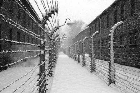 Hekwerk Auschwitz