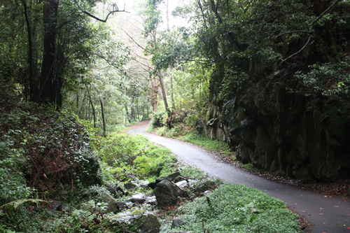 Cubo de Galga