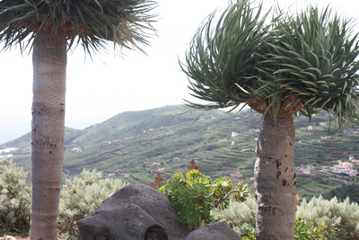 Mirador San Bartolo